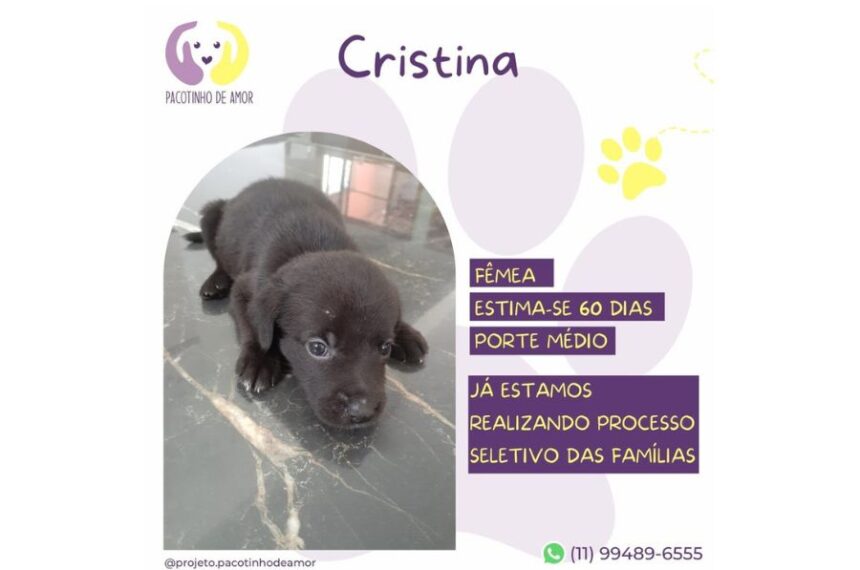 ONG Pacotinho de Amor - Cristina