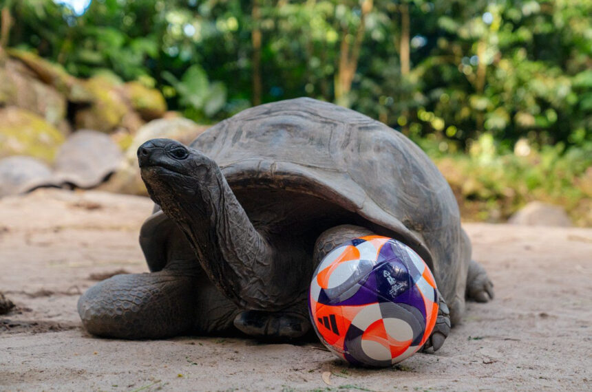 Seychelles: natureza, cultura e hospitalidade