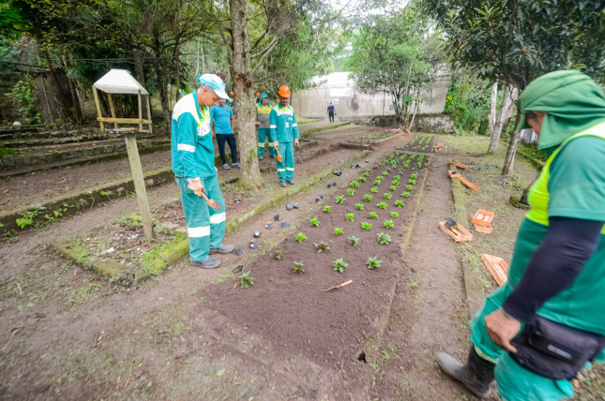 Viveiro Escola Municipal