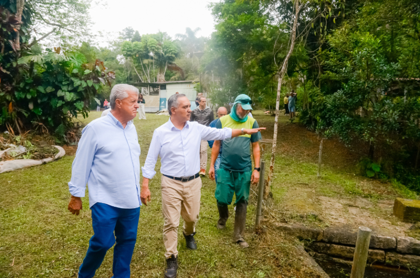 Viveiro Escola Municipal