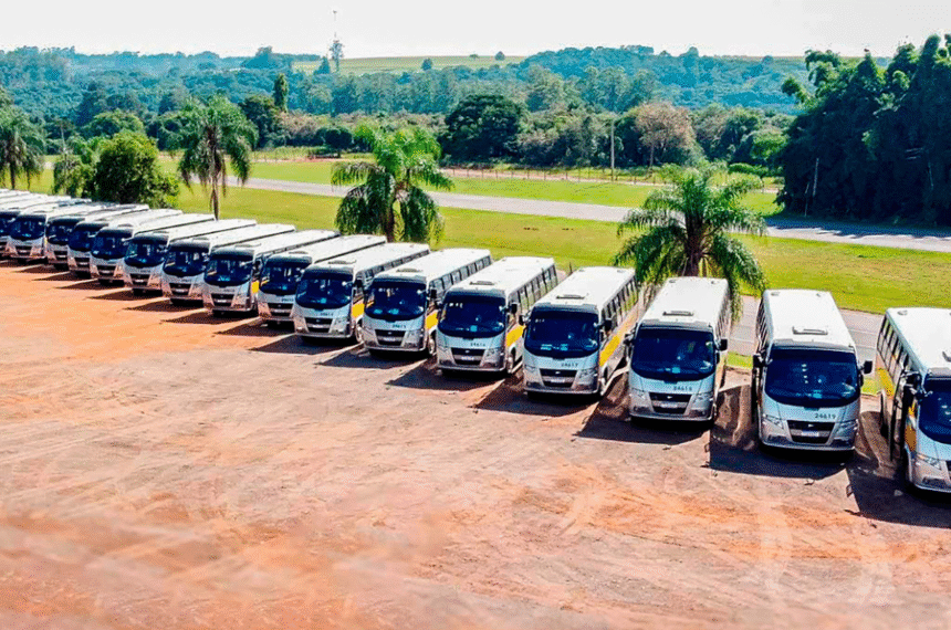 Volare Fly 10 Escolar