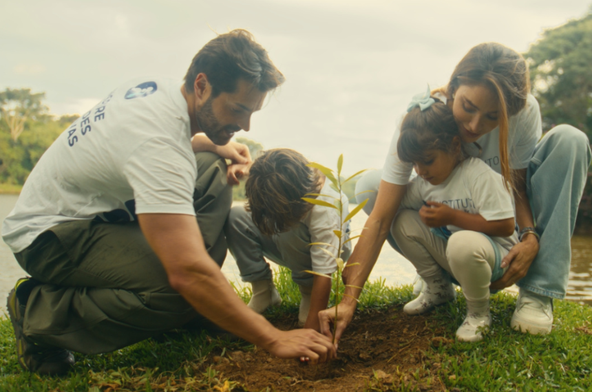 Floresta Áurea - Alok