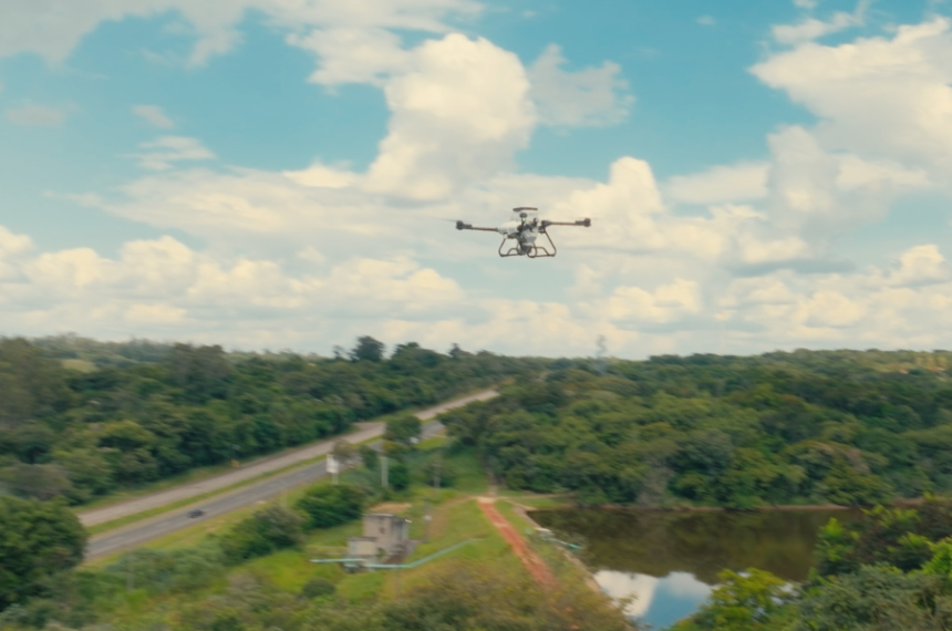 Floresta Áurea - Alok