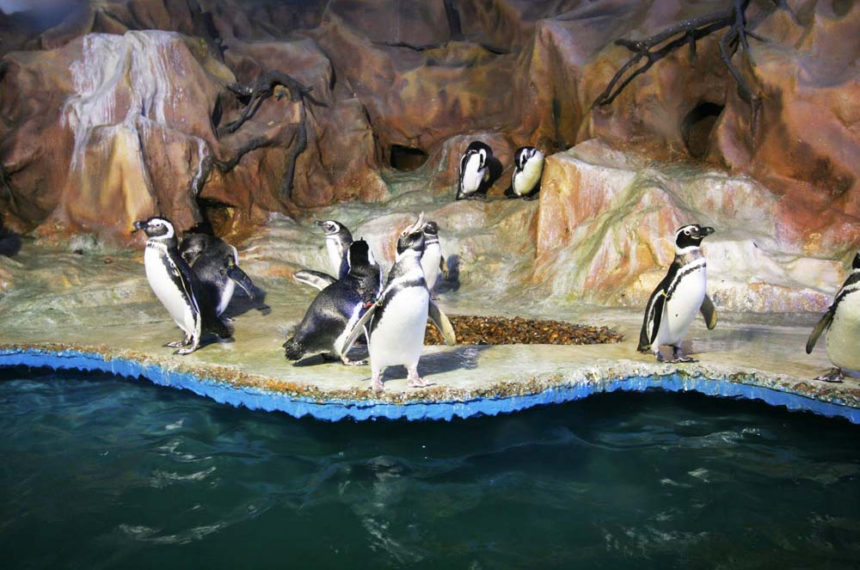 Aquário Municipal de Santos