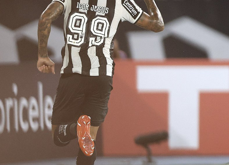 Igor Jesus marcou o gol da vitória do Botafogo. 