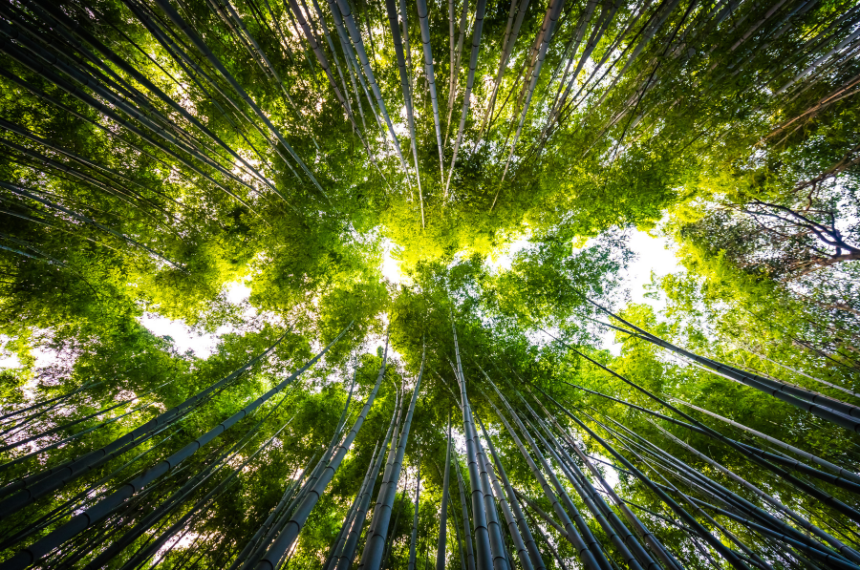 Meio Ambiente - ESG -Sustentabilidade