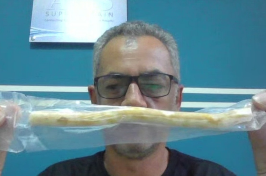 Miswak Brasil