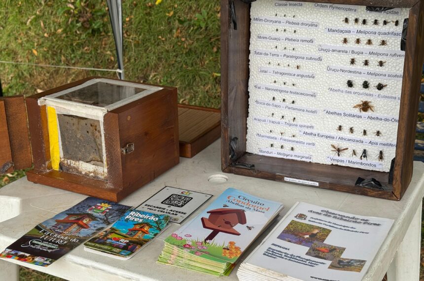 Educação ambiental - Ribeirão Pires promove ação no Parque Ocidental - Divulgação/PMETRP