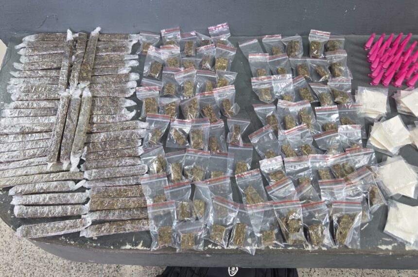 Polícia Militar apreende grande quantidade de drogas em imóvel abandonado em Diadema