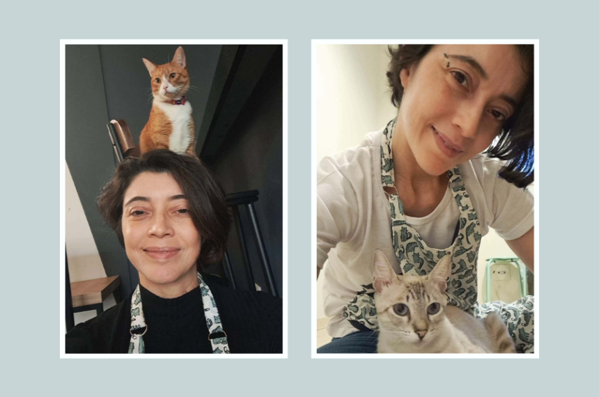 Elza Dantas da Silva - Cat Sitter