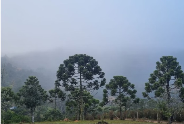 Previsão do tempo: São Paulo registra temperaturas de até 23°C nesta sexta (11)
