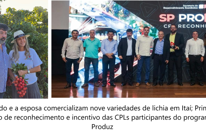 Com SP Produz, lichia movimenta e desenvolve economia do Alto Vale do Paranapanema

