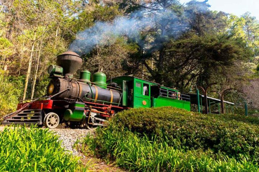  Parque Bambuí