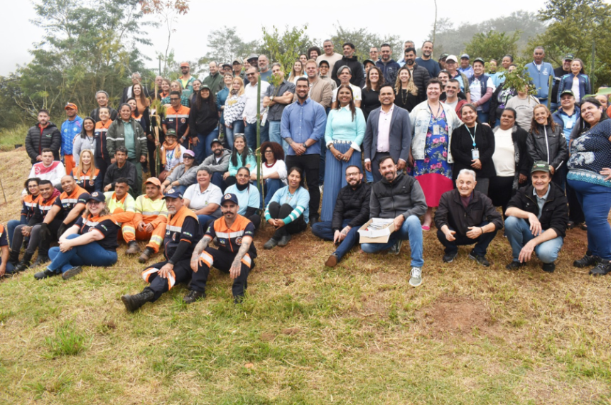 Plantio de Árvores em Santo André - Meio Ambiente