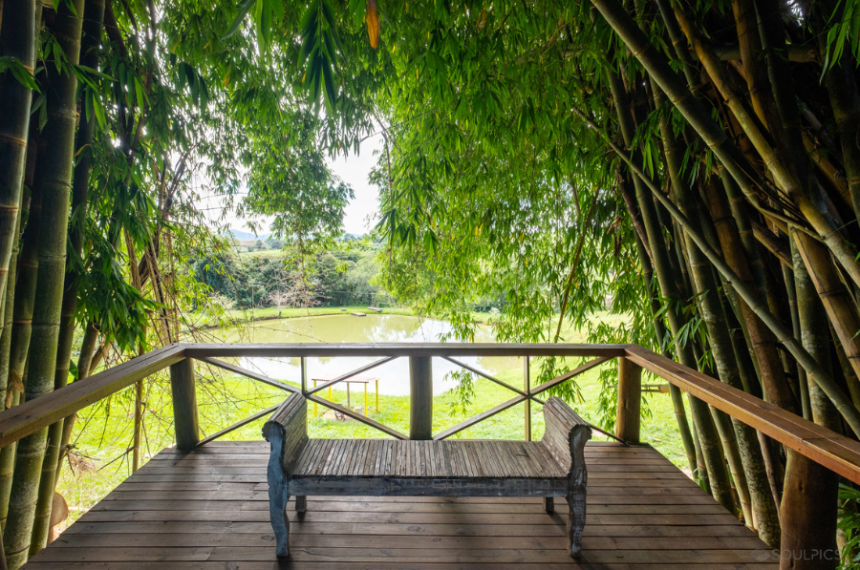 Dia dos Namorados - Socorro (SP)