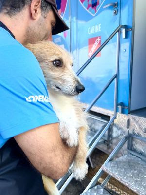 Banho Solidário Sampa