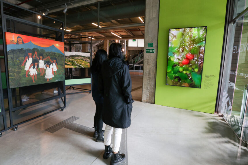 Museu do Futebol tem Agosto Indígena e encontro de camisas