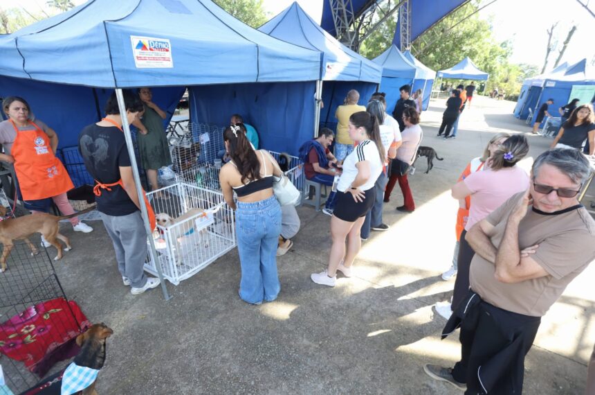 Feira de adoção “Eu amo, eu adoto” -  Alex Cavanha/PSA