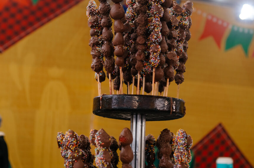 Festa São Bernardo de Todos os Povos - Brenner Oliveira/PMSBC