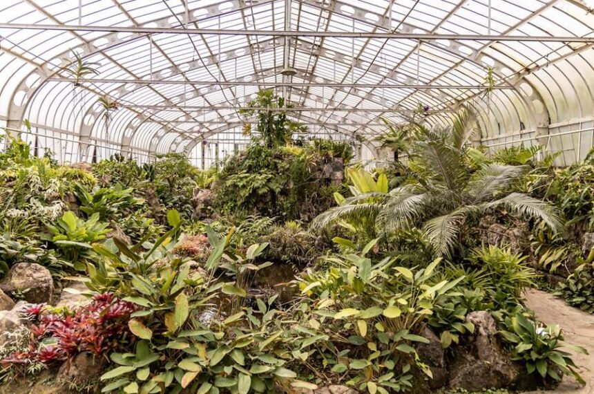 Jardim Botânico São Paulo