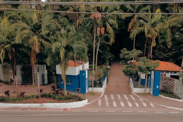 Prefeitura de Mauá resgata porco-espinho em área urbana e realiza soltura segura em habitat natural