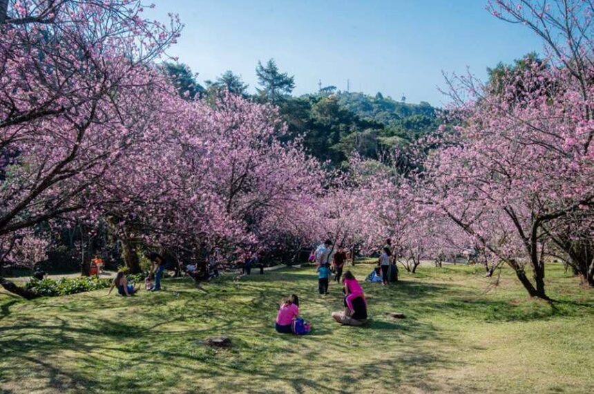 Dia dos Pais- Campos do Jordão