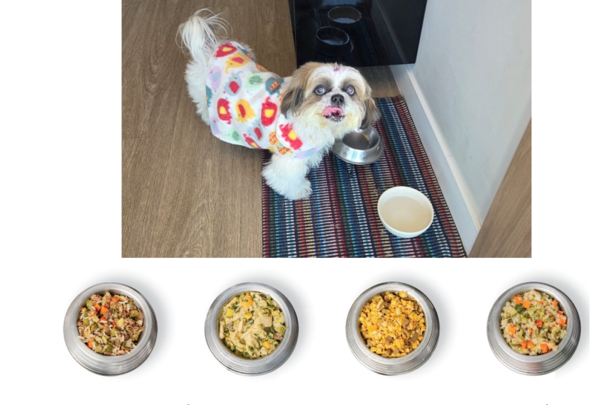 Banco do Povo: Empreendedora dobra faturamento de negócio pet