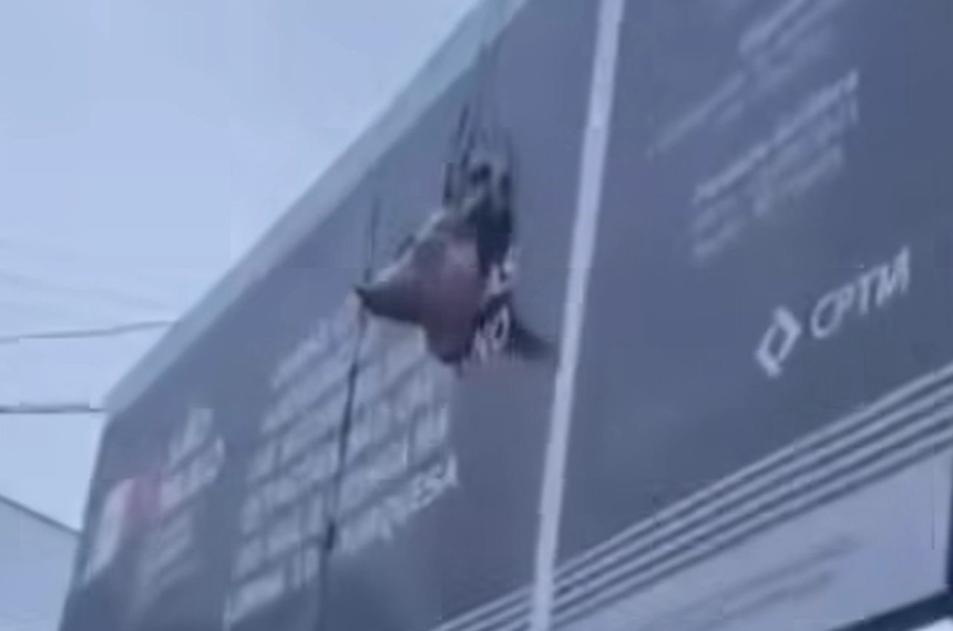 Torcedores do Corinthians penduram cabeça de porco na estação São Caetano