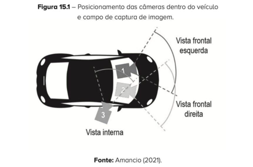 Estudos Naturalísticos de Direção