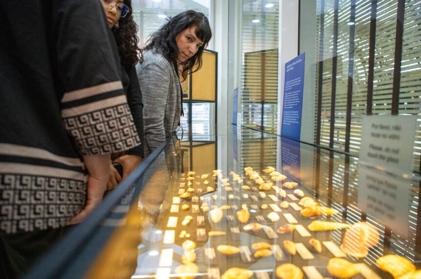 Instituto Butantan apresenta exposição sobre moluscos: “Joias vivas - Mas será que é só isso?”