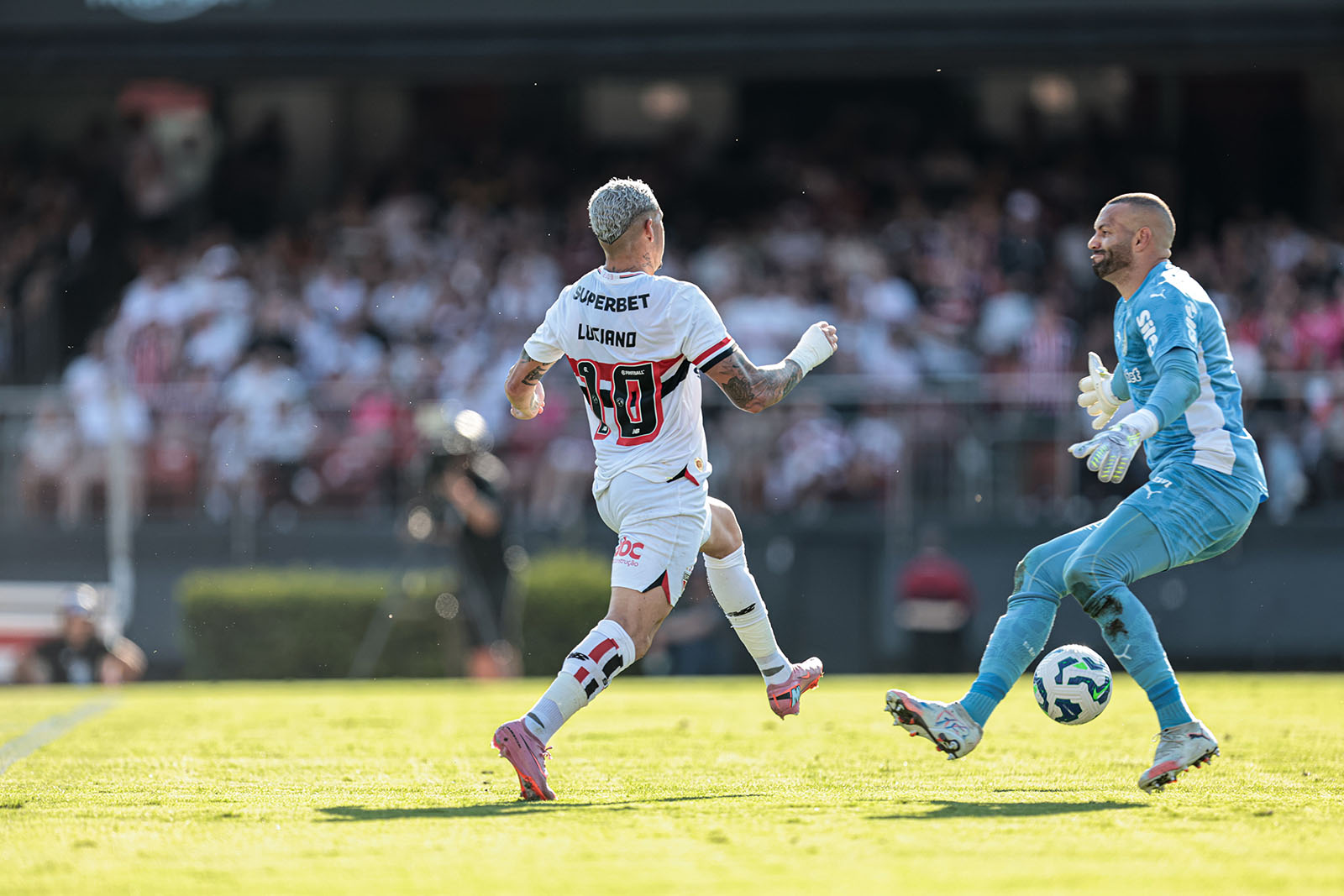 São Paulo x Palmeiras: Saiba como assistir ao vivo