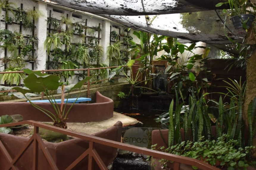 Em outubro, Parque Tangará fará oficina com cuidados básicos de orquídeas - Helber Aggio/PSA