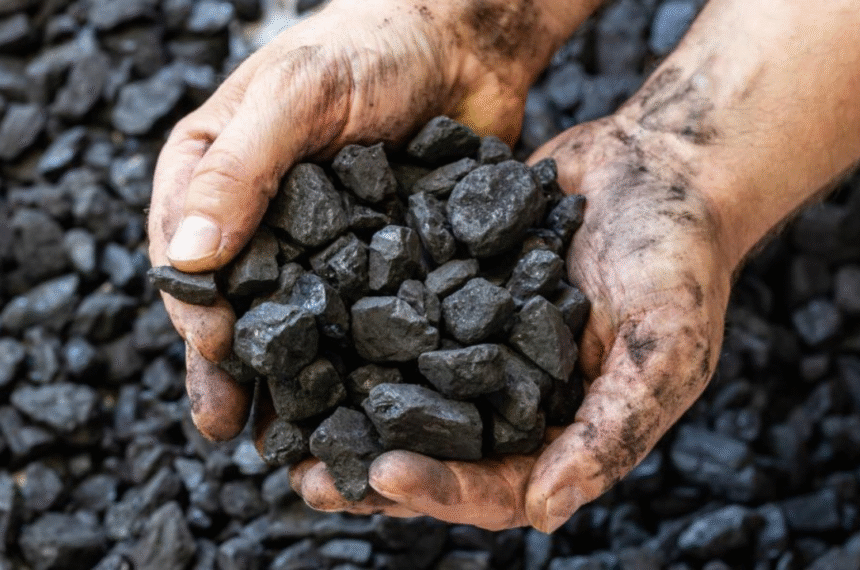 Carbono - Reprodução