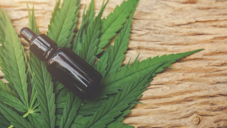 Governo adia prazo para regras da cannabis medicinal; saiba mais