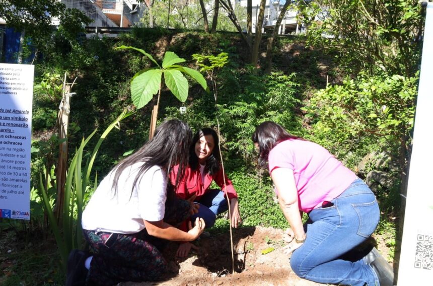 Plantio de ipês na luta contra o câncer e violência contra a mulher em Mauá - Divulgação/PMM