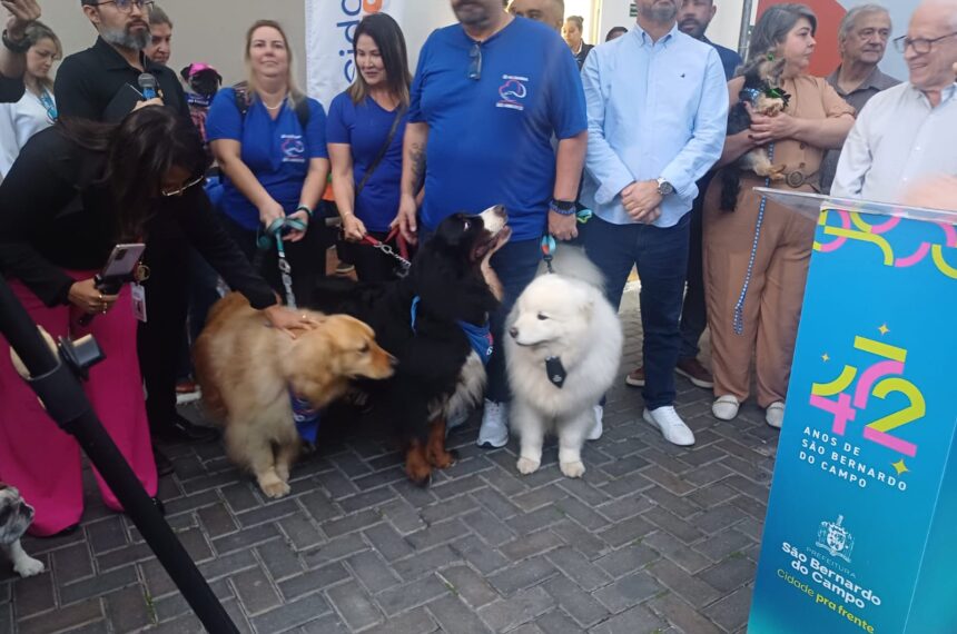 Lei visita pet animais de estimação SBC