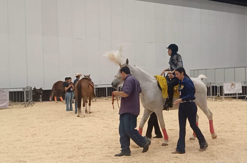 Expo Brasil paralímpico