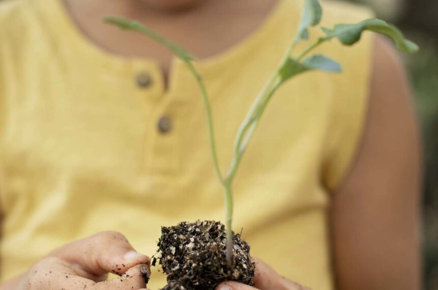 sustentabilidade. curso gratuito 