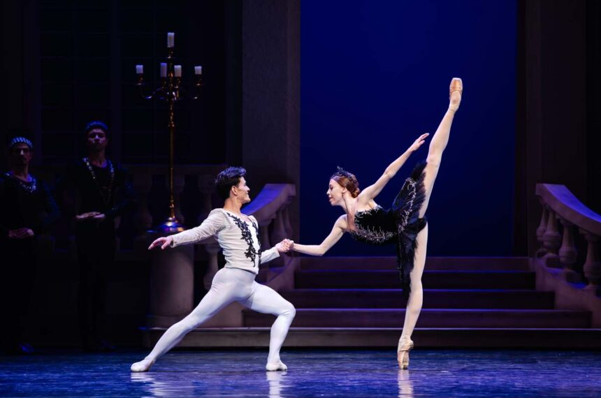 SPCD - O Cisne Negro