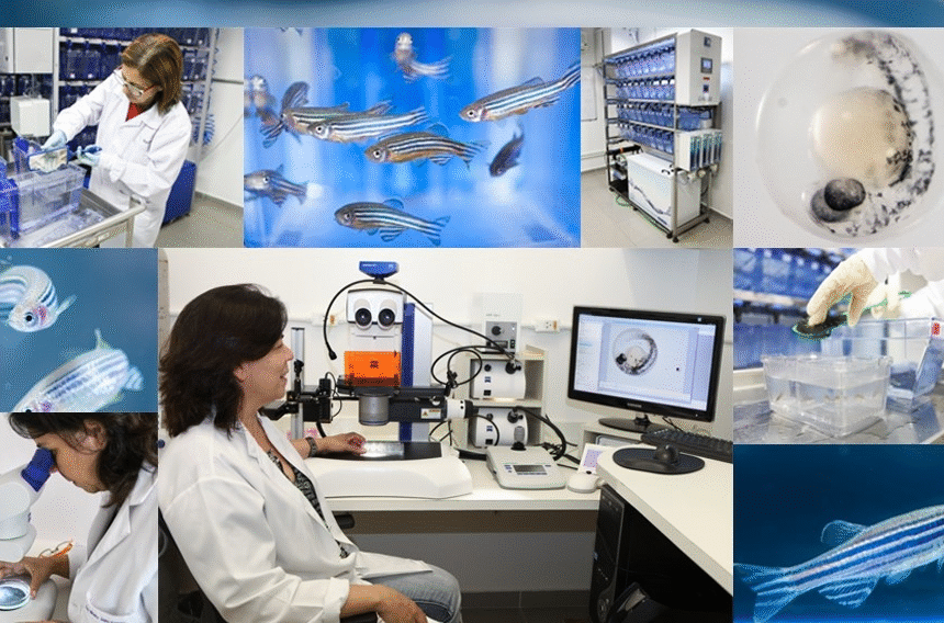 Pós-graduado e mestrado em Toxinologia no Instituto Butantan - Divulgação