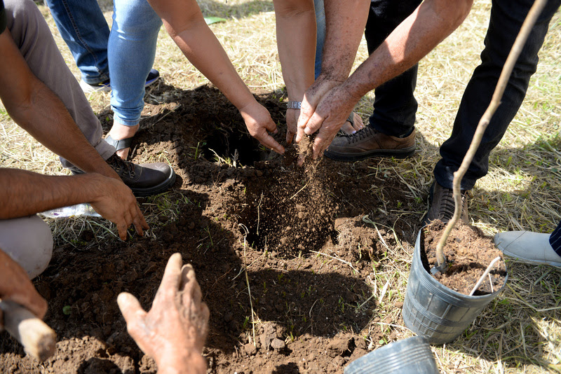 São Paulo inaugura Bosque da Copinha com plantio no CERET
