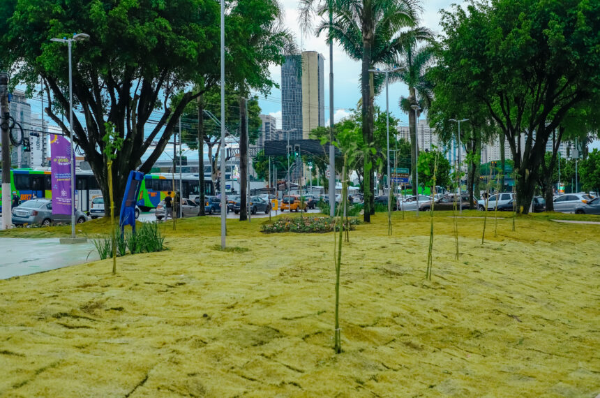 Praça Alberto Eduardo Bellinghausen ganha iluminação LED