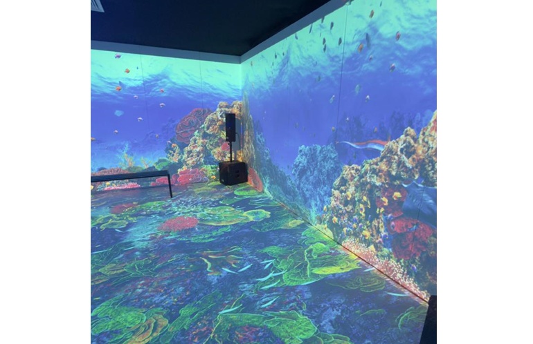 exposição  - Oceano Vivo