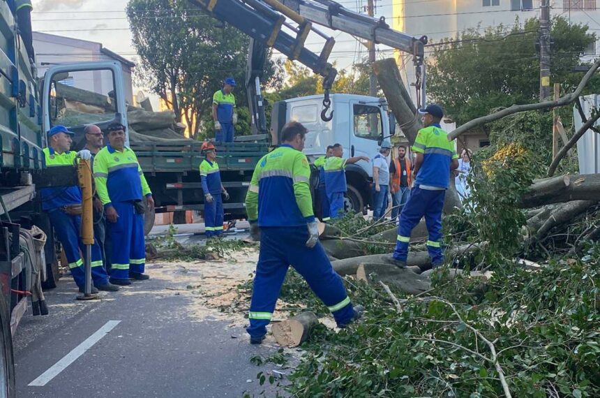 Ventania causa estragos