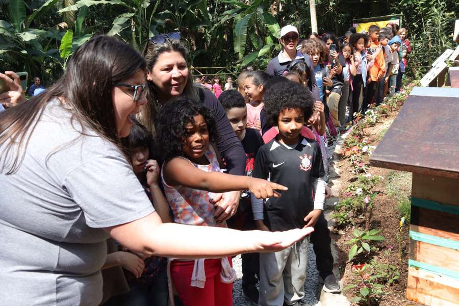 Mauá recebe reconhecimento por ações sustentáveis