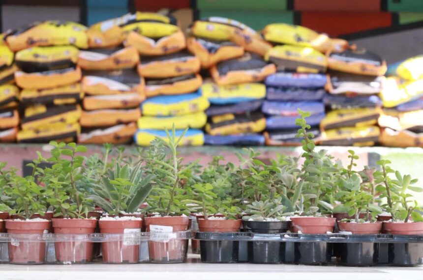 ração para animais