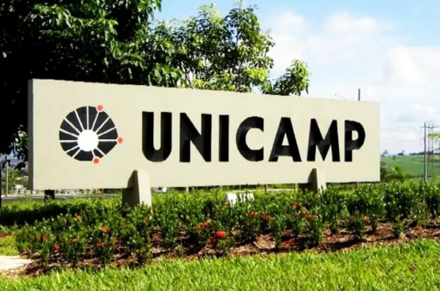 Unicamp - Dezembro larnja