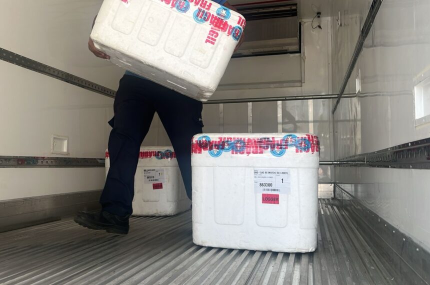 Vacinação da gestantes contra o Vírus Sincicial Respiratório (VSR) - Divulgação