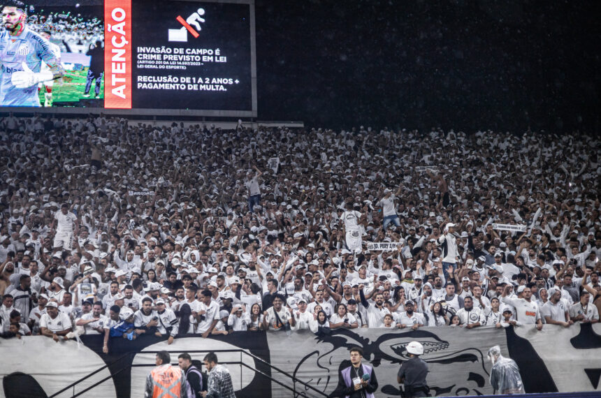Santos torcida Neo Química Arena