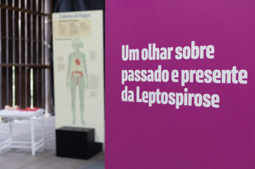 Instituto Butantan - Doenças Negligenciadas